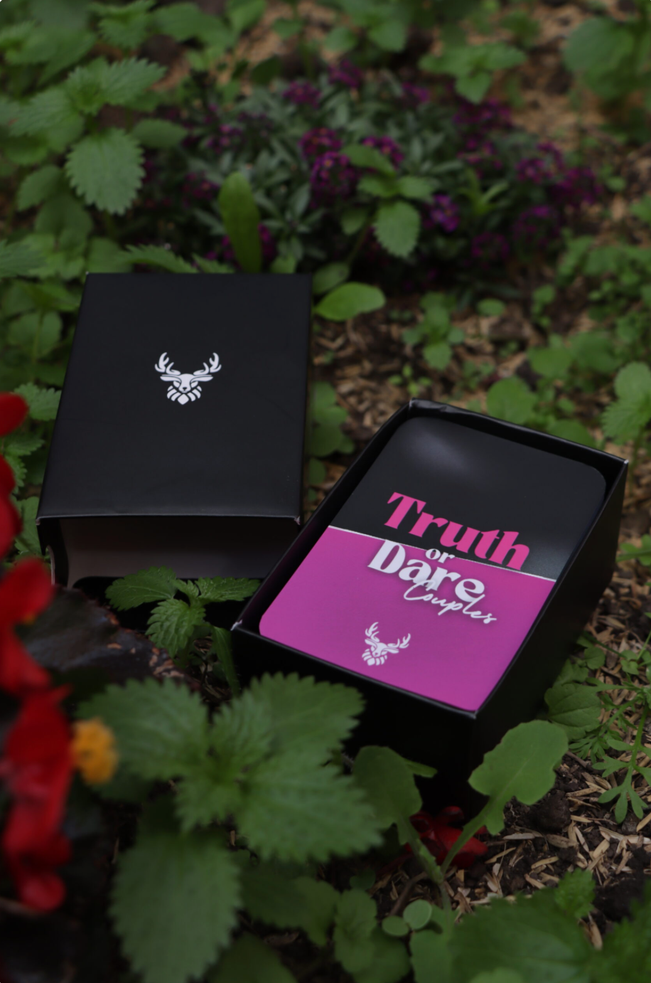Truth or Dare (Couples)