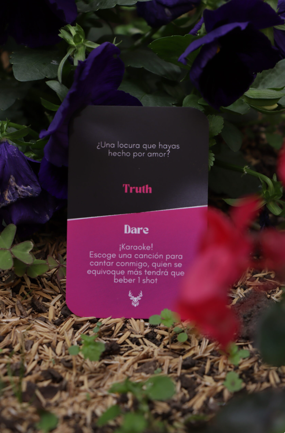 Truth or Dare (Couples)
