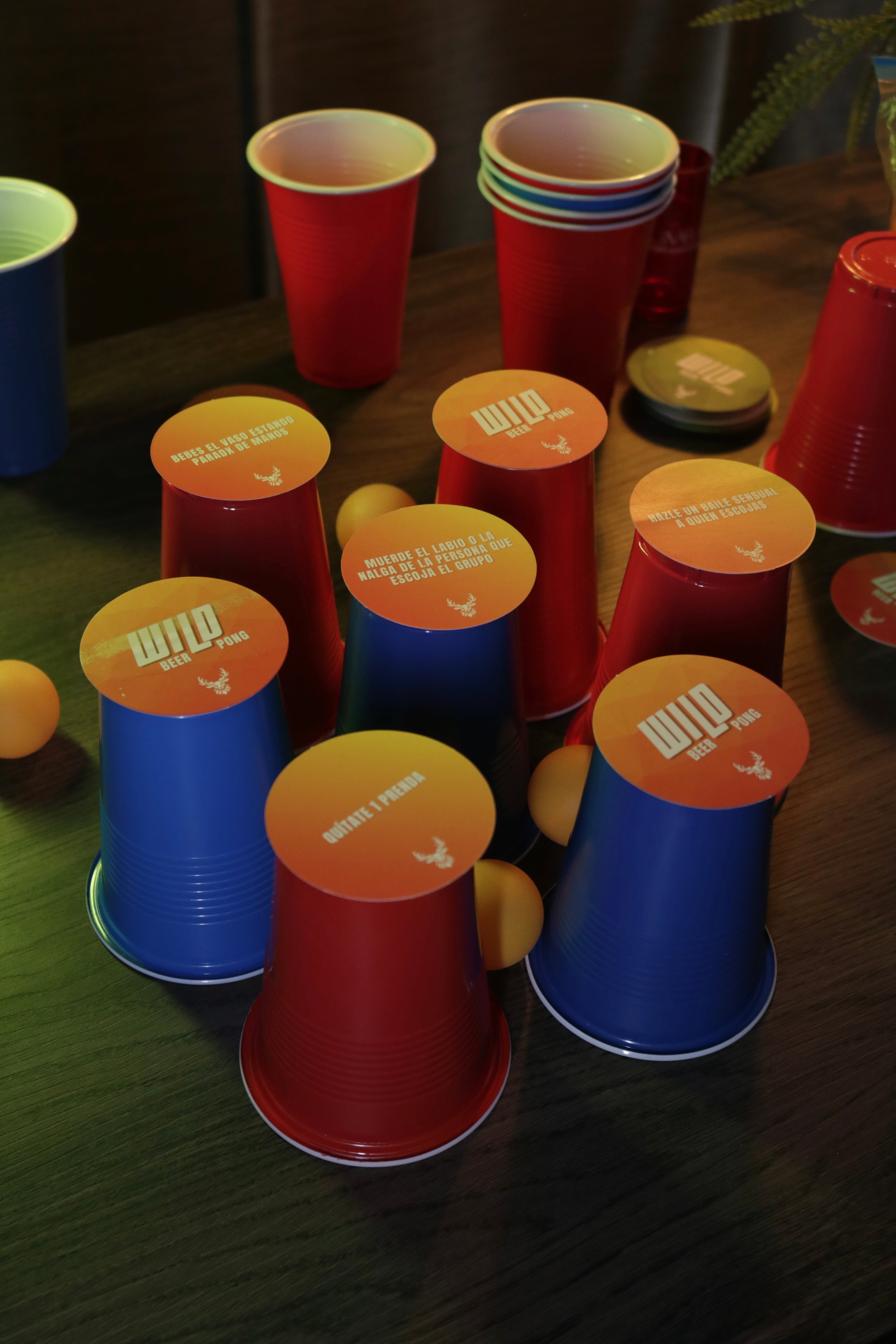 Wild Beer Pong
