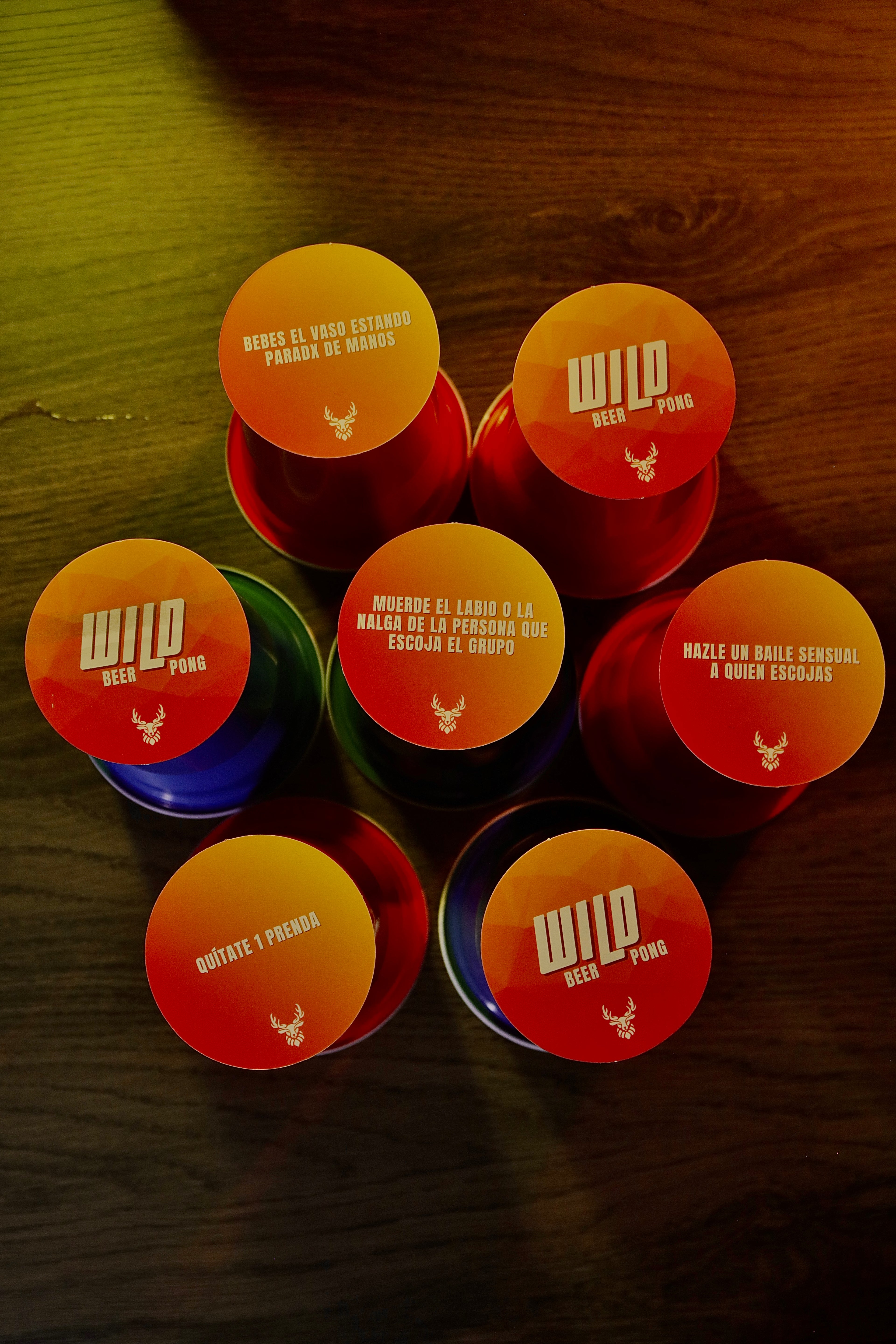 Wild Beer Pong
