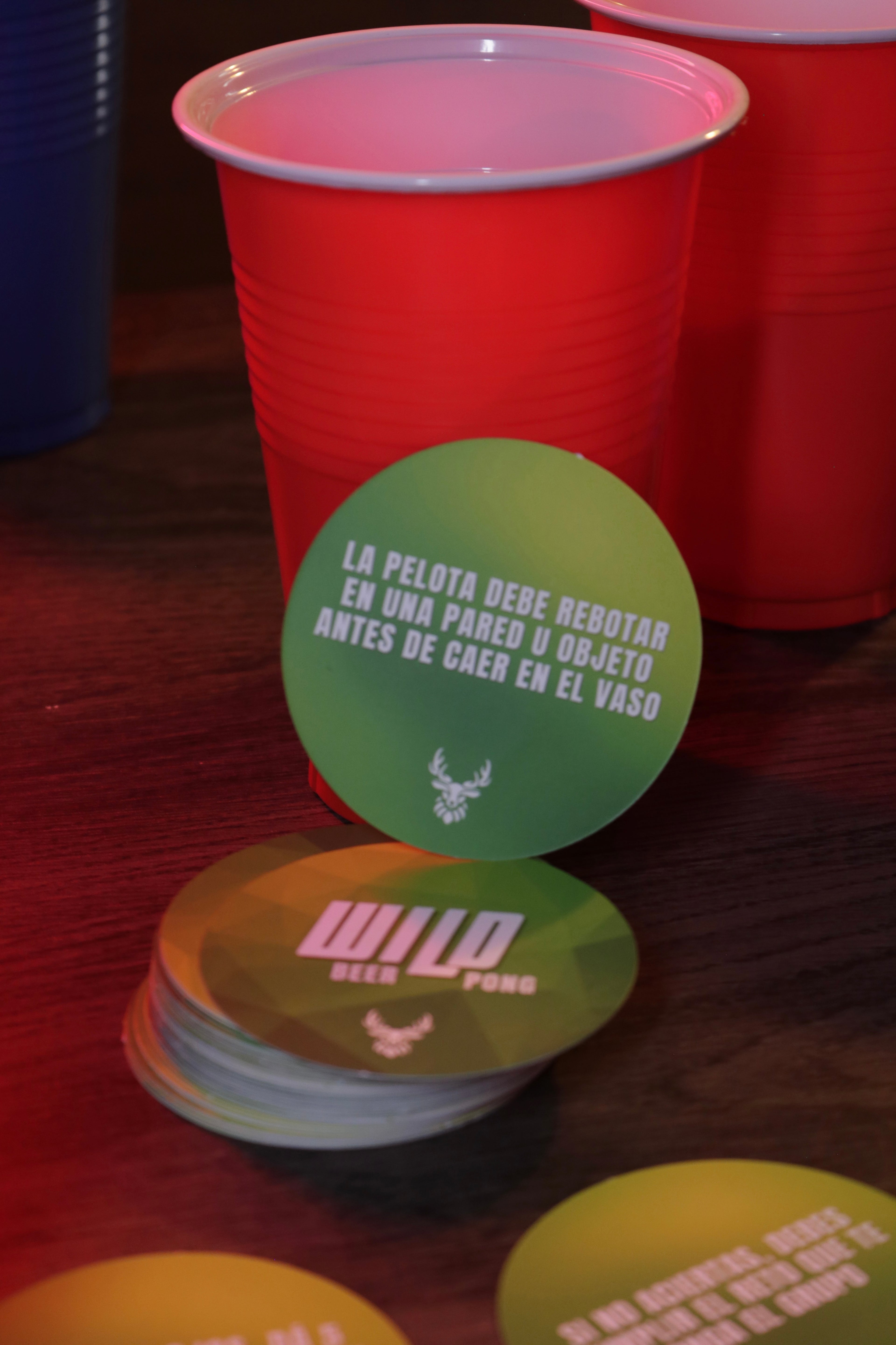 Wild Beer Pong
