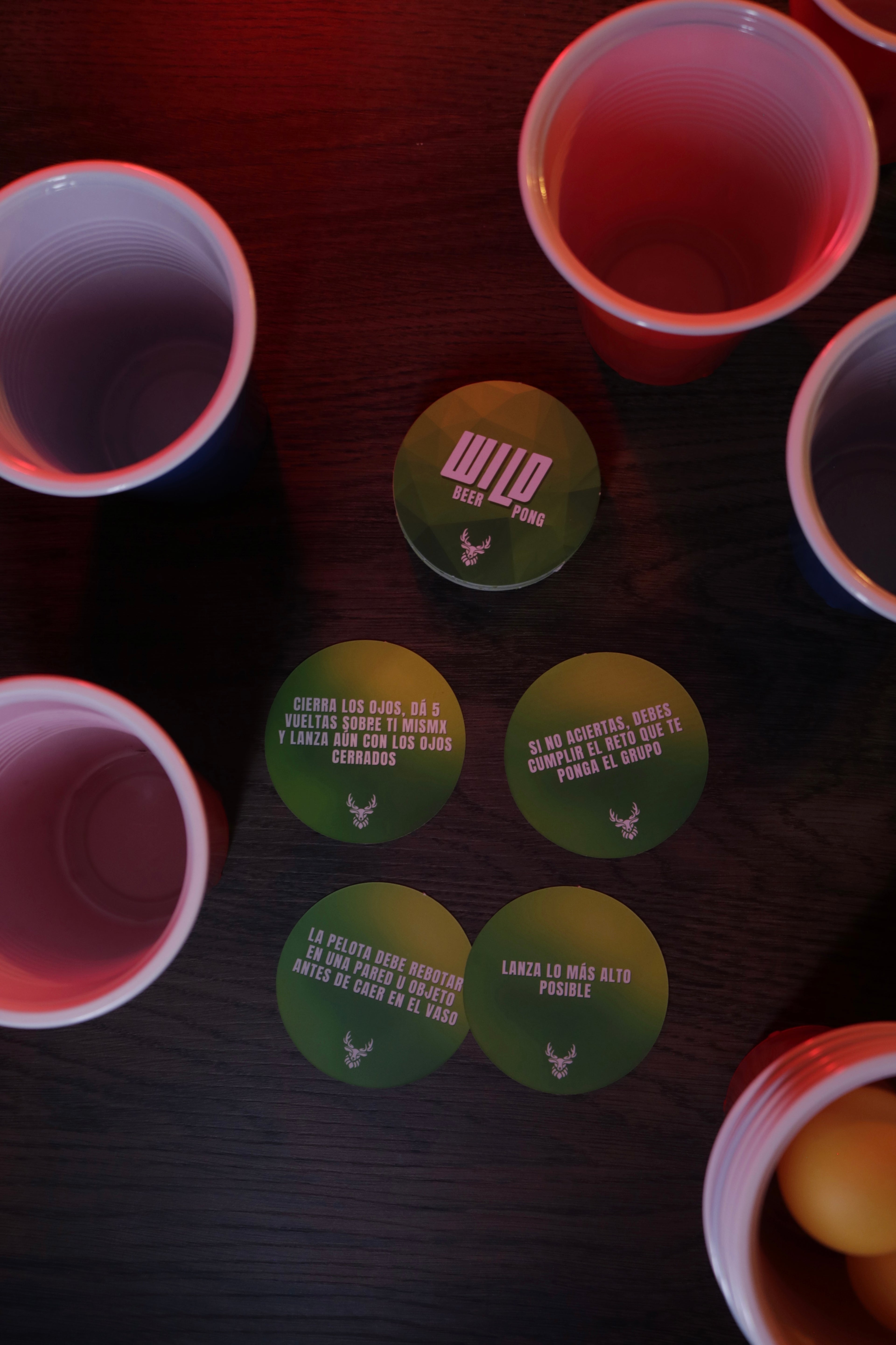 Wild Beer Pong